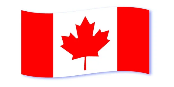 Canadian Flag Waving White Background — Stock Vector