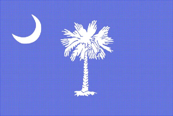 Flag State South Carolina Halftone — Stock Vector