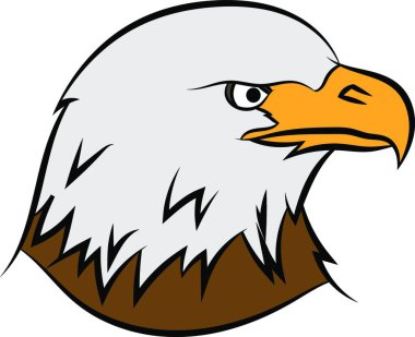 Bald eagle (Haliaeetus leucocephalus) on a white background, vector illustration clipart