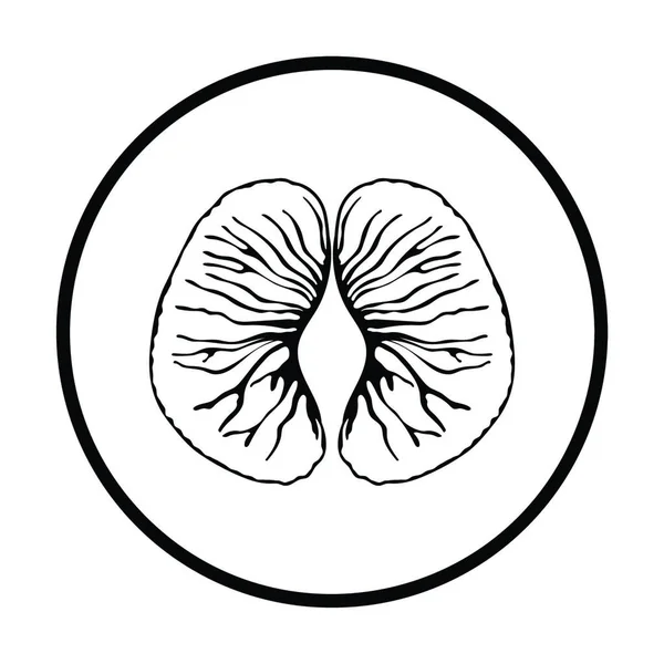 Ікона Мандарина Тонкий Дизайн Кола Приклад Вектора — стоковий вектор
