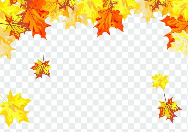 Autumn Frame Falling Maple Leaves Transparency Alpha Grid Background Vector — Stock Vector