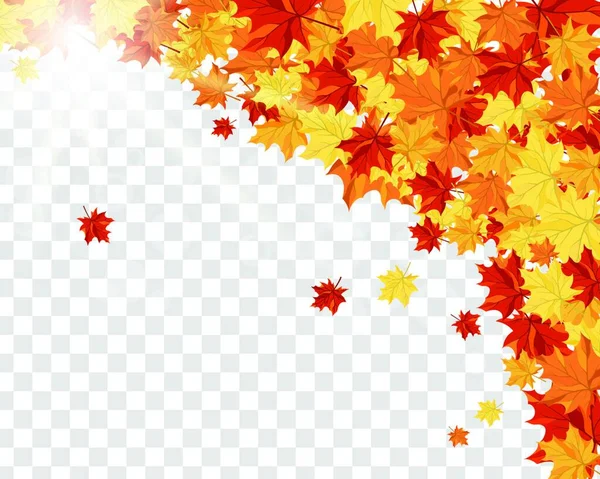 Autumn Frame Falling Maple Leaves Transparency Alpha Grid Background Vector — Stock Vector