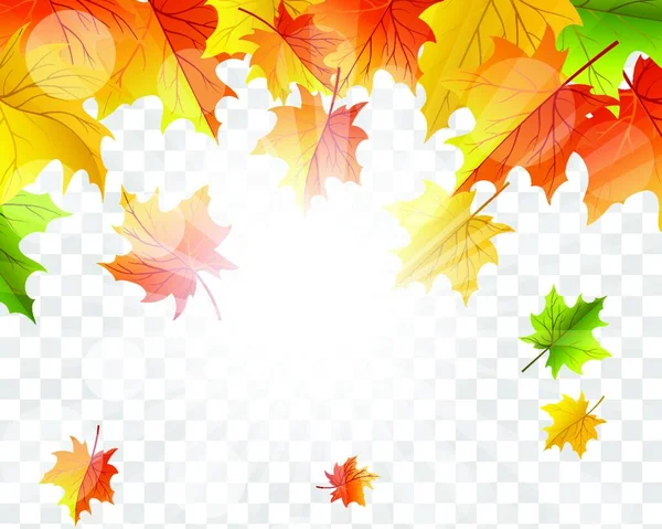 Autumn Frame Falling Maple Leaves Transparency Alpha Grid Background Vector — Stock Vector