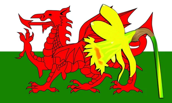 Nationale Drakenvlag Van Wales Met Nationale Bloem Narcis — Stockvector