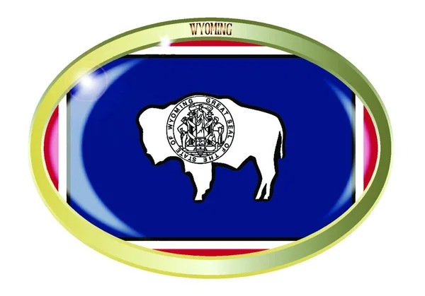 Ovaler Metallknopf Mit Wyoming Flagge Auf Weißem Hintergrund — Stockvektor
