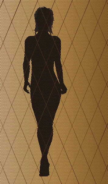 Point Bas Nylon Résille Marron Avec Une Silhouette Modèle Mode — Image vectorielle