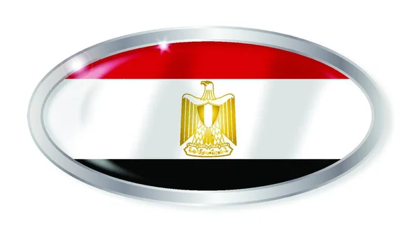 Ovaal Zilveren Knoop Met Egyptische Vlag Geïsoleerd Een Witte Achtergrond — Stockvector