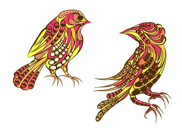 Два Етнічні Птахи Ізольовані Білому Тлі — стоковий вектор