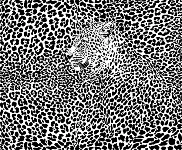 Illustrazione Modello Sfondo Leopardo Pelli Teste — Vettoriale Stock