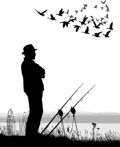 钓鱼与迁徙鹅的矢量例证 — 图库矢量图片