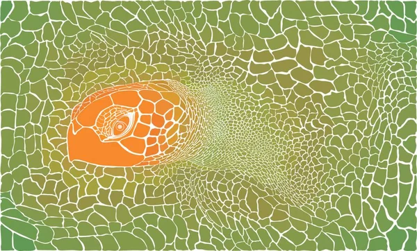 Vektor Barevné Ilustrace Vzor Želva Kůže Hlavy — Stockový vektor