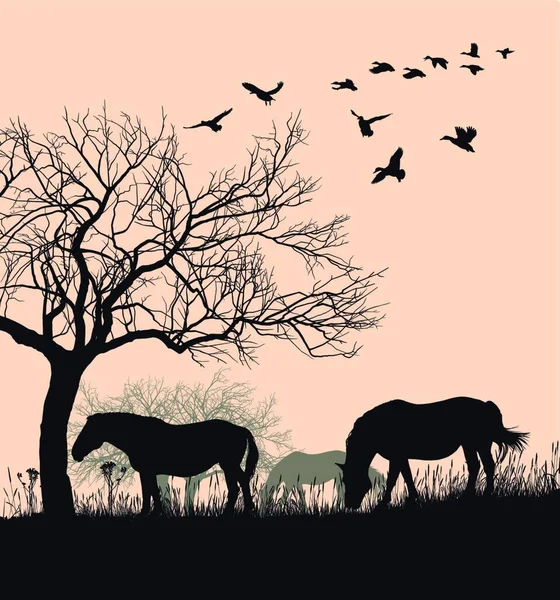 Vector Εικονογράφηση Άλογο Σιλουέτα Φόντο Ηλιοβασίλεμα — Διανυσματικό Αρχείο