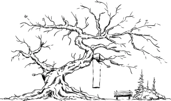 Вектор Большое Старое Дерево Изолированное Заднем Плане Счастливое Место Скамейка — стоковый вектор