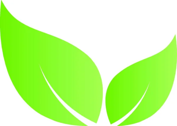Φύλλα Φυτικά Βιολογικά Κήπος Ευεξία Naturopath Vegan Λογότυπο — Διανυσματικό Αρχείο