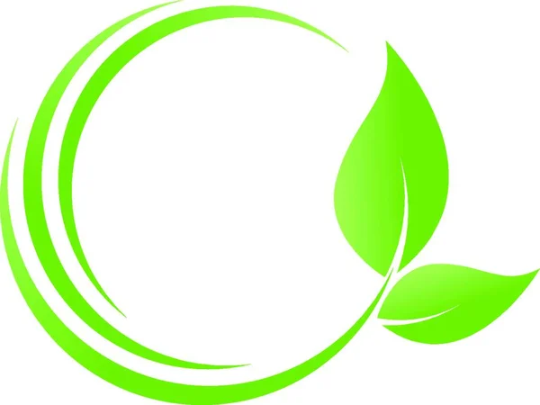 Folhas Planta Naturopata Vegan Natureza Bem Estar Logotipo — Vetor de Stock