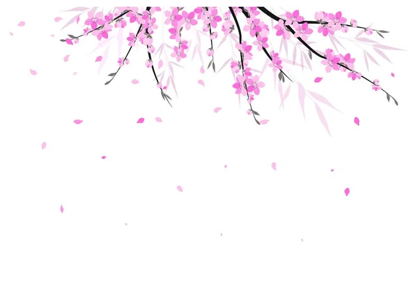 Ilustração Vetorial Sakura Ramo Decoração Fundo Floral Flores Cor Rosa — Vetor de Stock