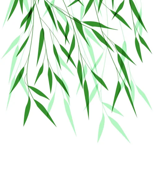 Vektorillustration Bambublad Naturlig Bakgrund Med Gröna Blad — Stock vektor