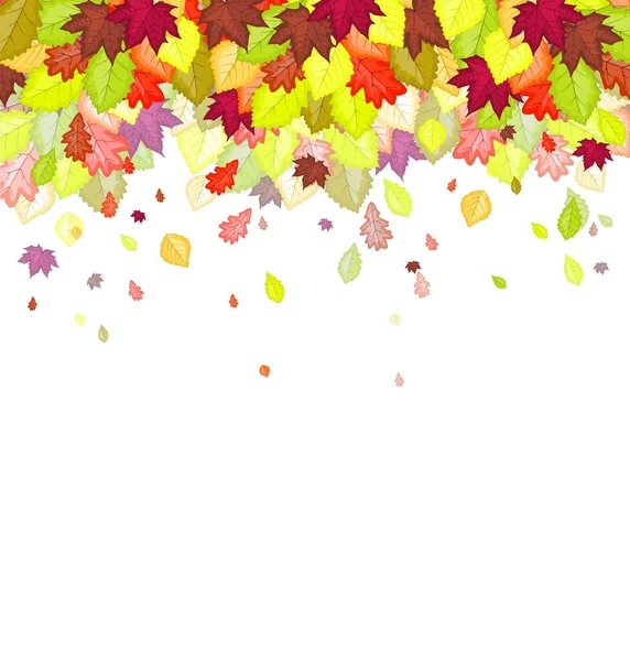 Vector Illustration Autumn Leaf Colors Background Natural Leaves — Stock Vector