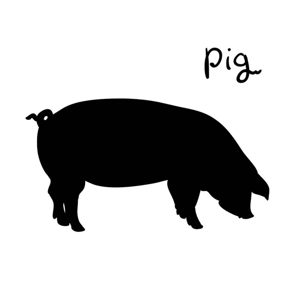 Schwein Der Vektorillustration Silhouette Nutztier Schwein Auf Weißem Hintergrund — Stockvektor