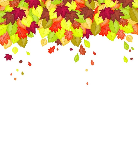 Vektorillustration Des Herbstblattes Farben Hintergrund Der Natürlichen Blätter — Stockvektor