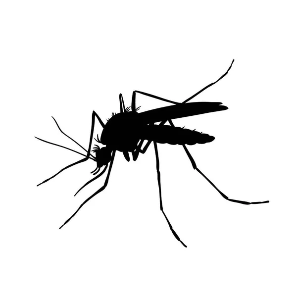 Κουνούπι Ασπρόμαυρο Σχέδιο Χέρι Σιλουέτες — Διανυσματικό Αρχείο