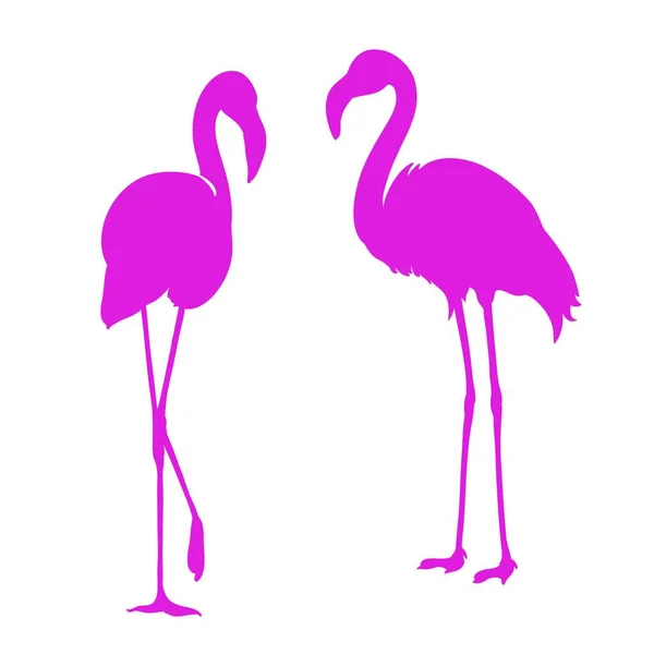 Flamingo Egzotik Kuş Pembe Flamingo Dekoratif Düz Tasarım Element — Stok Vektör