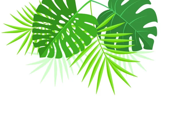 ヤシの緑の葉と自然の背景のベクトル図 エキゾチックな緑の木の葉 — ストックベクタ