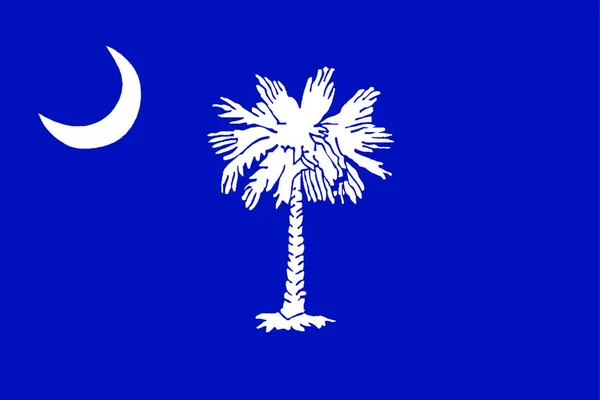 Bandeira Estado Carolina Sul — Vetor de Stock