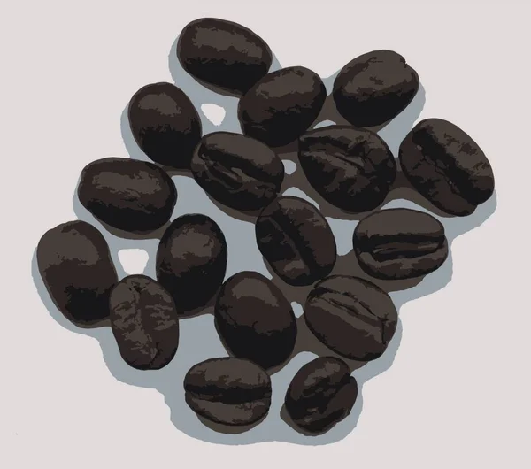 焙煎したコーヒー豆をよく見ると — ストックベクタ