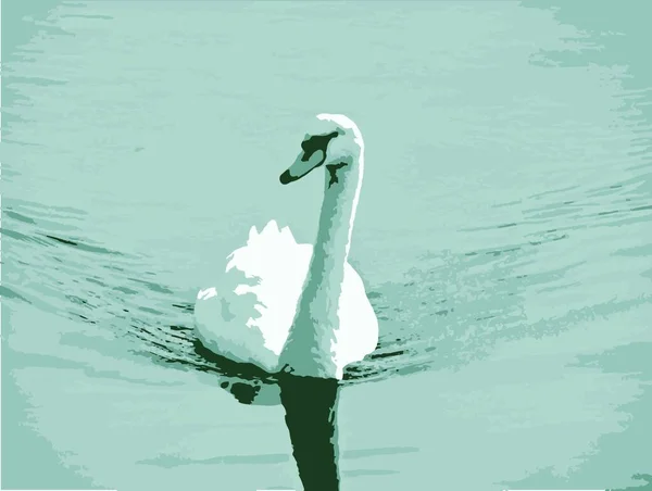 Cygne Typique Installé Sur Lac Avec Des Ondulations Une Réflexion — Image vectorielle