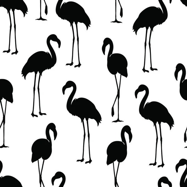 Flamingo Isolado Pássaro Exótico Silhueta Flamingo Ilustrações Padrão Sem Costura —  Vetores de Stock