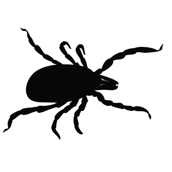 Mite Parasites Tick Silhouette Isolated White Background Tick Parasite Tick — Stock Vector