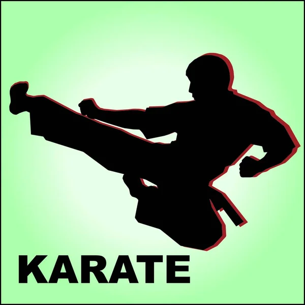 Karate High Kick Emblem Kampfkunst Farbiges Simulationsdesign Vektor Eps — Stockvektor