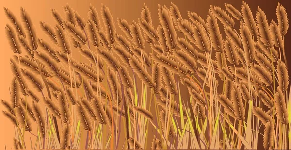 Gröda Fält Generisk Gröda Som Växer Med Brun Gräsmatta — Stock vektor