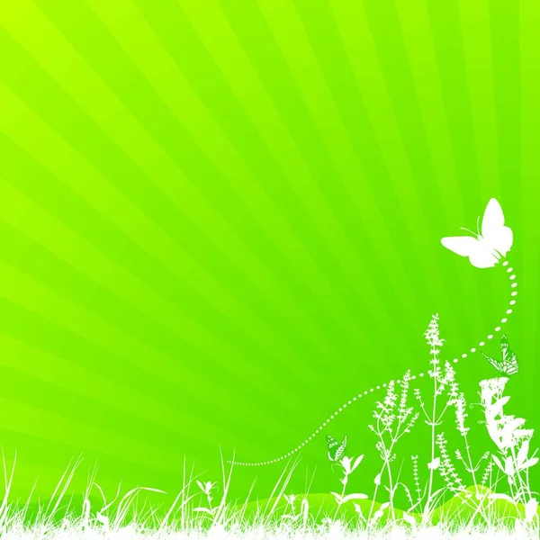 Schmetterling Und Wiese Mit Gräsern Grüne Hintergrundillustration Vektor — Stockvektor