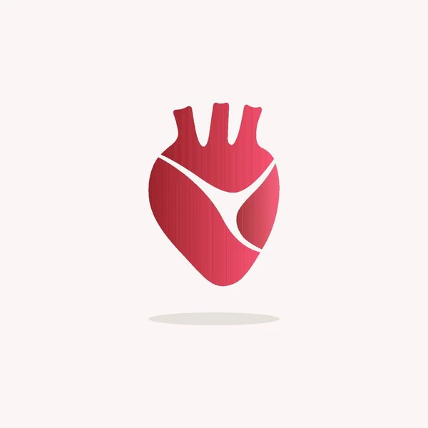 Menselijk Hart Pictogram Met Schaduw Een Witte Achtergrond Vectorillustratie — Stockvector