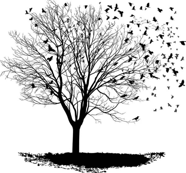 Illustrazione Vettoriale Branco Corvi Albero Senza Acero — Vettoriale Stock