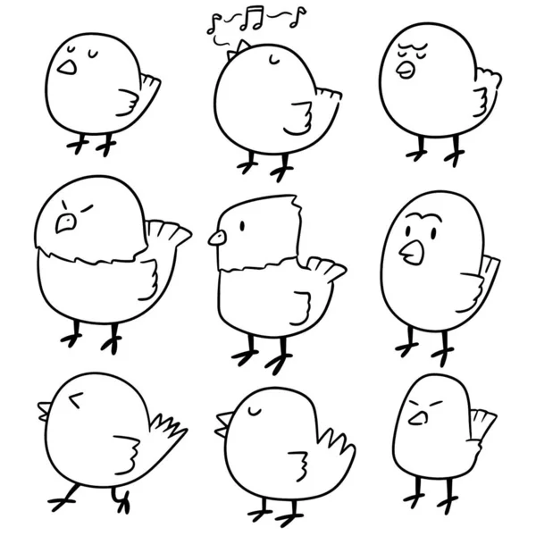 Ensemble Vectoriel Oiseaux — Image vectorielle