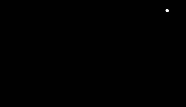 Vue Panoramique Cygne Majestueux Nature — Image vectorielle