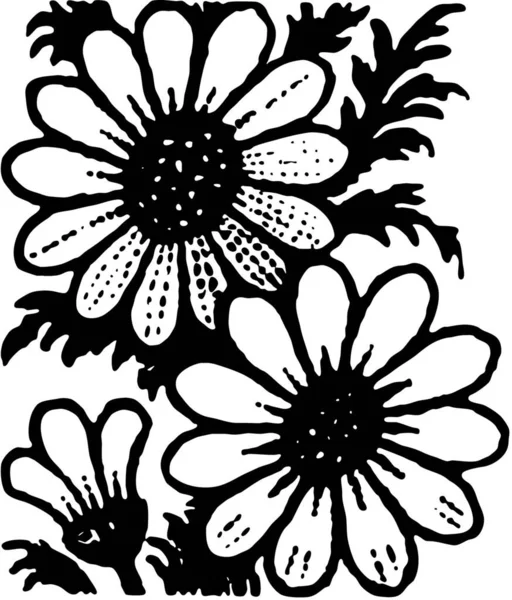 Floral Designs Geïsoleerd Witte Achtergrond — Stockvector