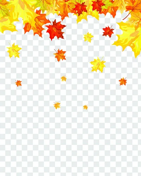 Autumn Frame Falling Maple Leaves Transparency Alpha Grid Background Vector — Stock Vector