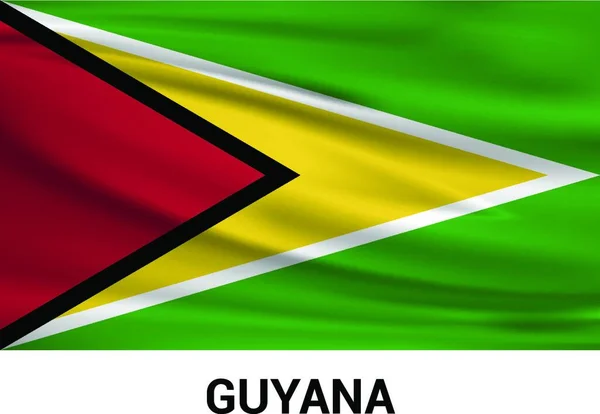 Guiana Bandeira Design Vector — Vetor de Stock