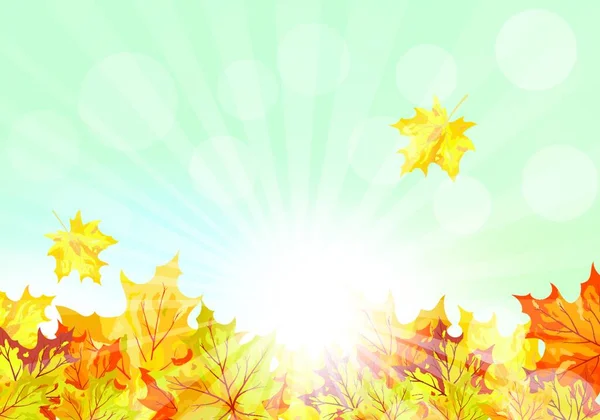 2008 Autumn Frame Falling Maple Leaves Sky Background 태양의 광선과 — 스톡 벡터
