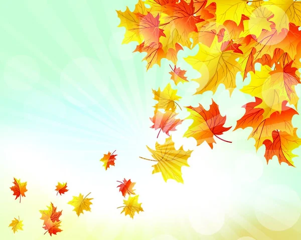 Sonbahar Çerçevesi Düşen Akçaağaç Yaprakları Gökyüzü Arkaplanında Güneş Işınları Dengeli — Stok Vektör