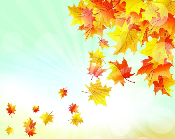 2008 Autumn Frame Falling Maple Leaves Sky Background 태양의 광선과 — 스톡 벡터