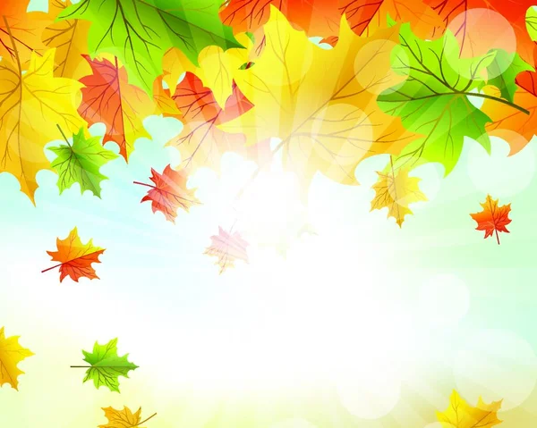 Herbstrahmen Mit Fallenden Ahornblättern Auf Himmelshintergrund Elegantes Design Mit Sonnenstrahlen — Stockvektor