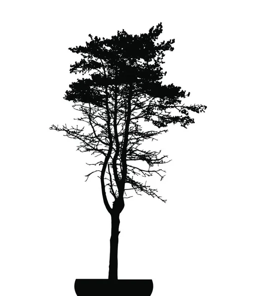 Pojedyncza Sylwetka Drzewa White Backgorund Ilustracja Wektorowa Eps10 — Wektor stockowy