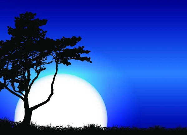 Silhouette Tree Sunset Background Inglês Ilustração Vetorial Eps10 — Vetor de Stock