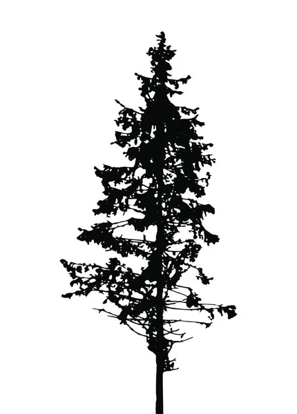 Silhouette Arbre Isolée Sur Fond Blanc Illustration Vectorielle Pse10 — Image vectorielle