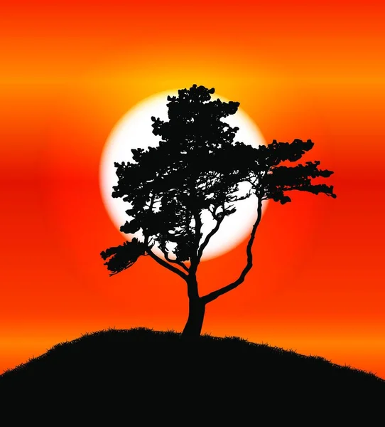 Silhouette Tree Sunset Background Inglês Ilustração Vetorial Eps10 — Vetor de Stock